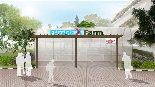 Sunway FutureX Farm to Address Food Security with Urban Farming