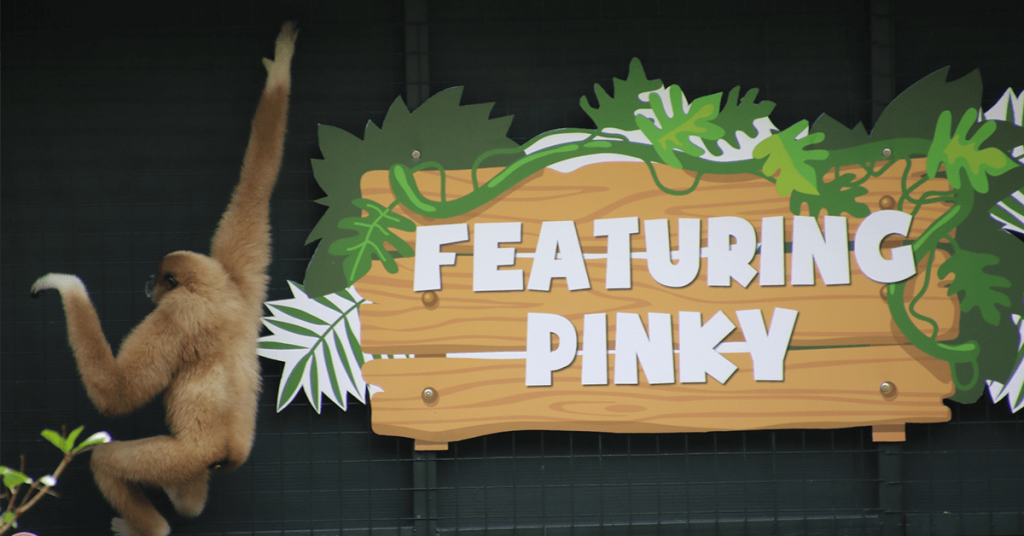 Sunway Lagoon’s Pinky gets an Upcycled Floating Island as her Home!