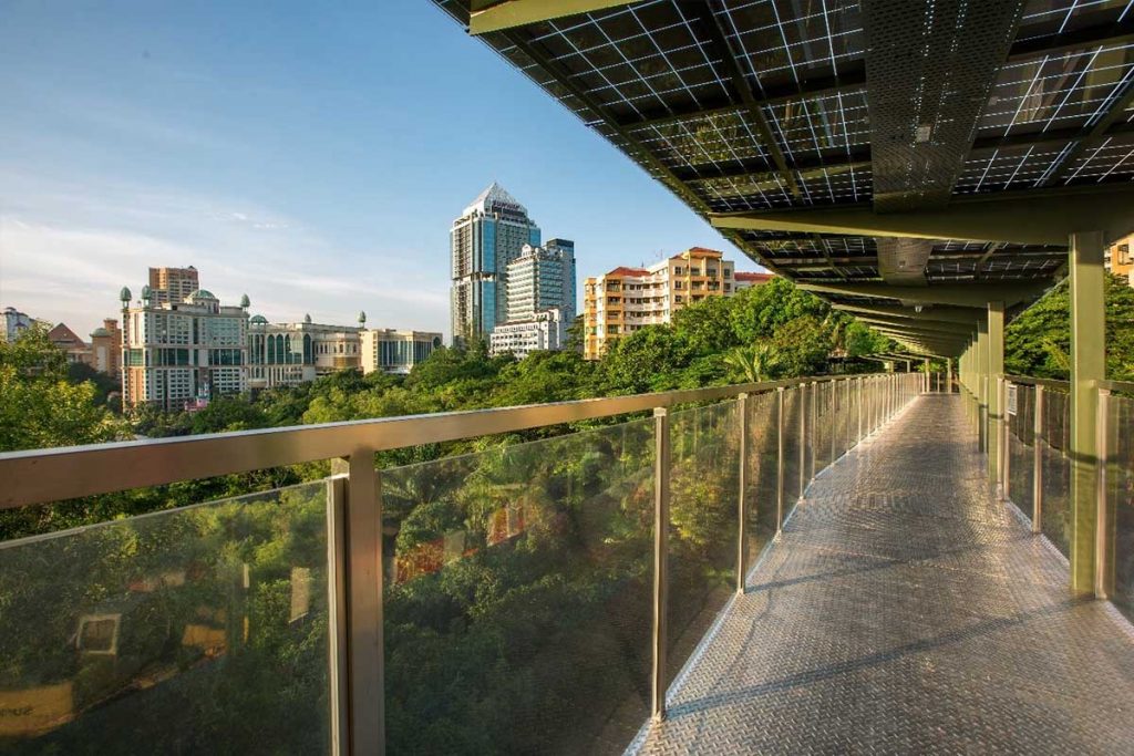 sunway city eco canopy walk