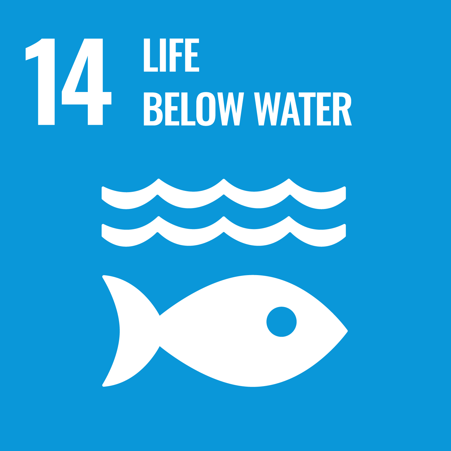 SDG 14 life below water