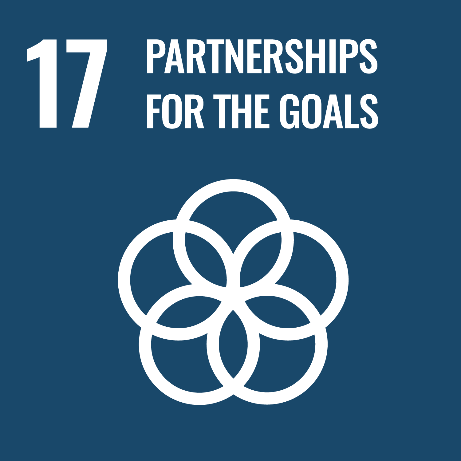 SDG 17 Partnerships for the Goals