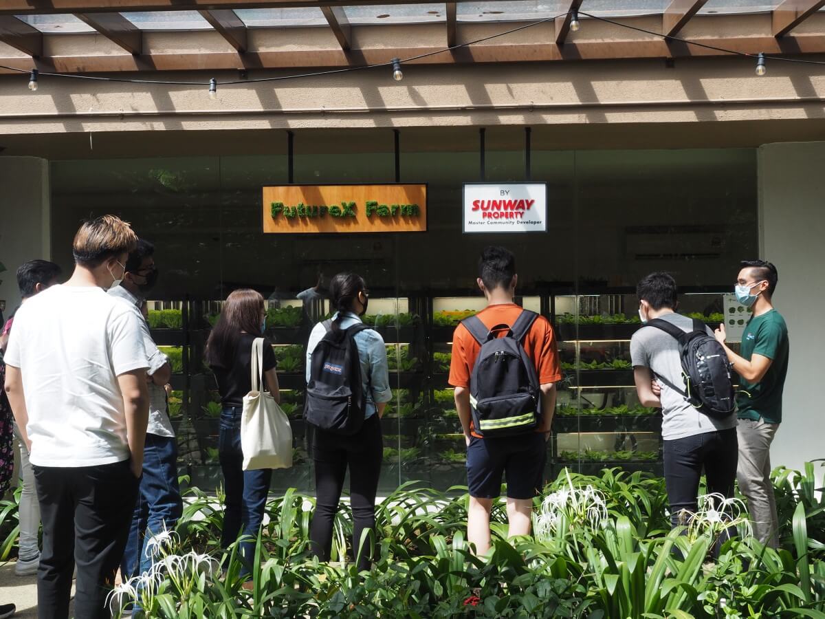 Visitors explaining the indoor farming at Sunway XFarms, with the signboard of Sunway Property