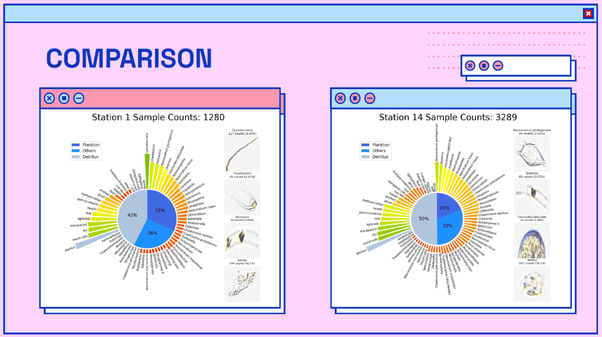 A window box illustration depicting a side-to-side comparison of two data visualisation format, with the presentation on the left encased in a pink box and the presentation on the right in a blue box