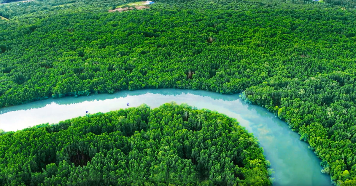 A wide shot of the Pendas River amidst lush greeneries at daytime.