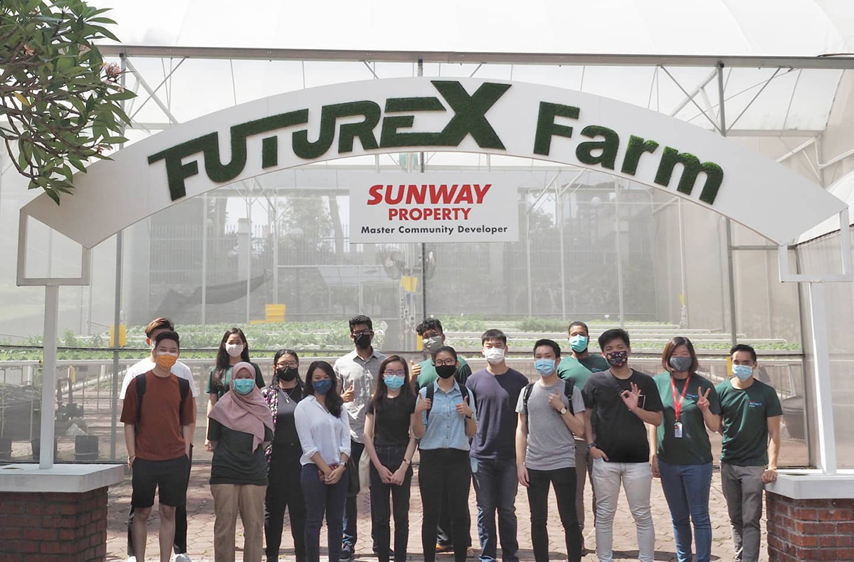 Junior apprentices at Sunway XFarms 