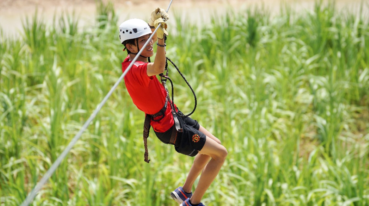 A wide shot of a male hanging in midair, wearing a red tee, black shorts, safety harness and a white helmet, ziplining his way across a maize field.