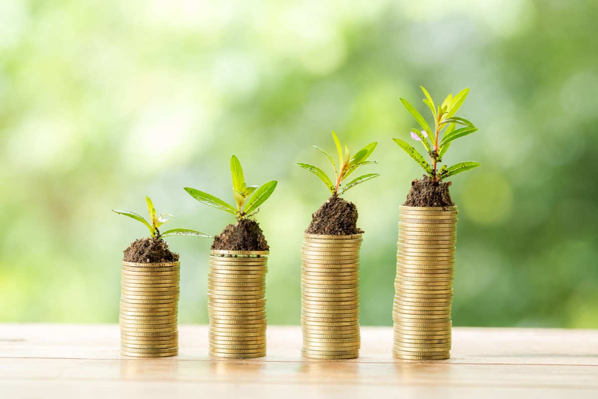 A close-up of a pile of gold coins stacked side-by-side in increasing heights, each with a tiny mound of earth supporting a seedling or sapling.