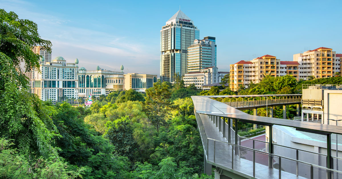 A wide-angle view of SCKL’s lush urban environment and skyscrapers from the EcoWalk