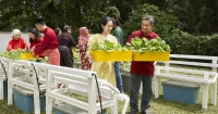 A full landscape shot of diverse mutlracial and multicultural talents engrossed with sustainably grown produce in Sunway Group’s “Soil for the Soul” Chinese New Year campaign video