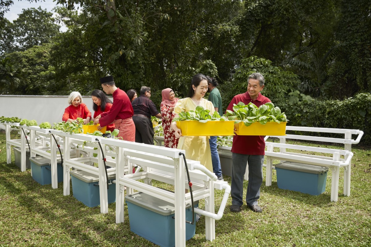 A full landscape shot of diverse mutlracial and multicultural talents engrossed with sustainably grown produce in Sunway Group’s “Soil for the Soul” Chinese New Year campaign video