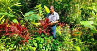 Mr. Uthaya Soorian, assistant general manager of Tajul Green in a midst of grenery and leaves. Mr. Soorian is observing his work and ensuring the plants are healthy