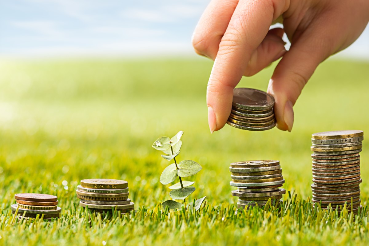 Tower of coins staked in 4 different sections with a plant placed in the middle