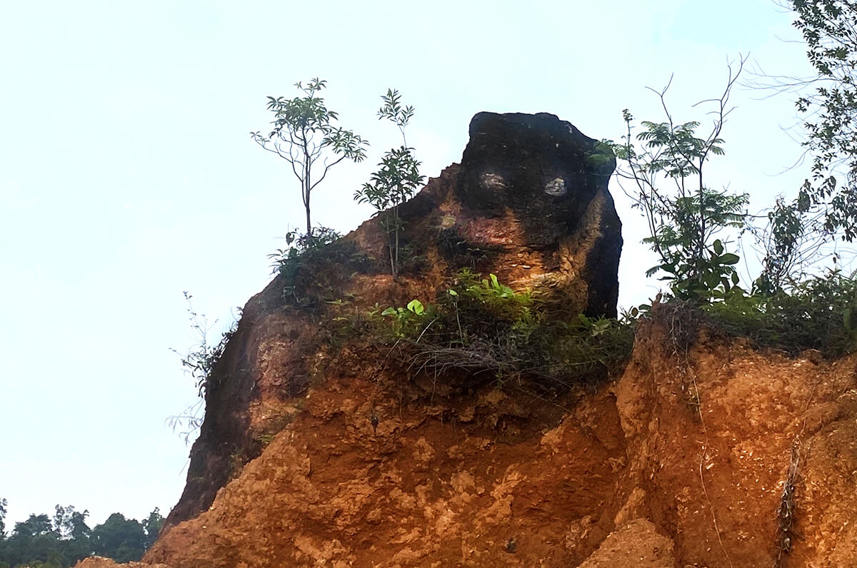 A side-angle shot of a panther-like rock formation at Banjaran organic farm, Sunway City Ipoh