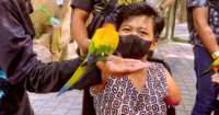 13-year-old Azizah wearing a mask, being greeted by a yellow and green bird held by a Sunway Lagoon staff