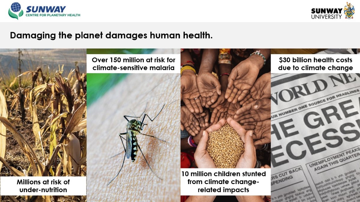 Slide featuring images of dried-up corn fields, insects that carry diseases, hands holding seeds and food, as well as newspaper headlines on recession.