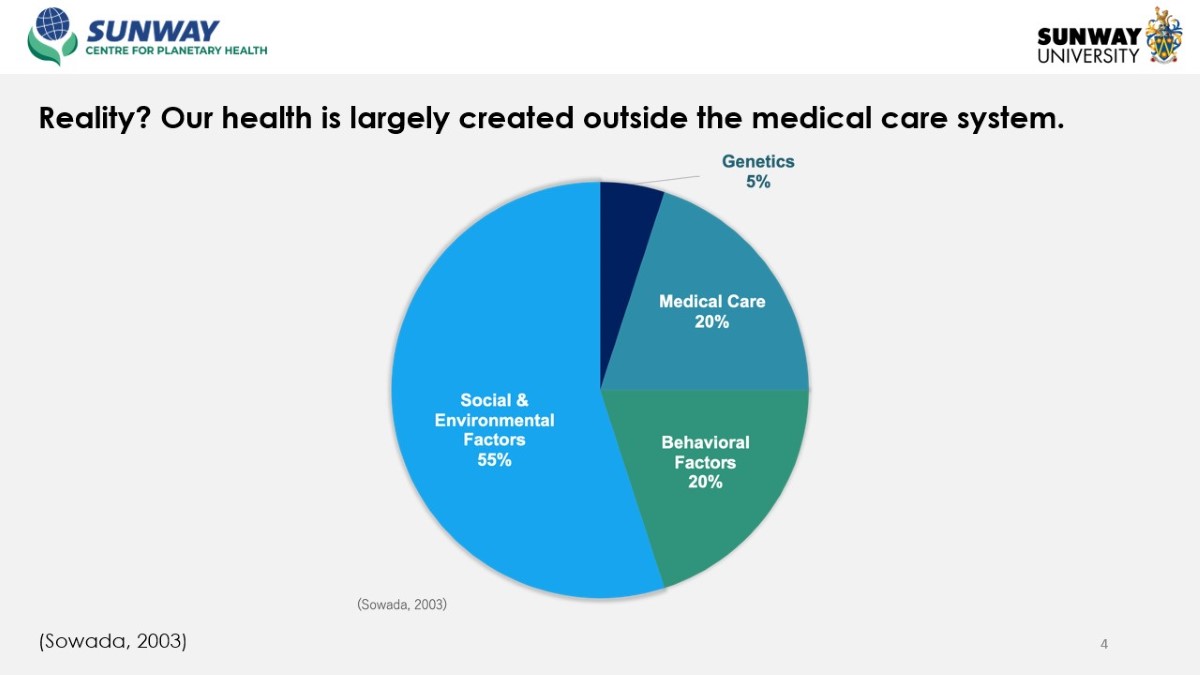 Slide showing a bar chart- showing that medical care only takes up 20% whilst the rest are taken up by things outside the medical care system