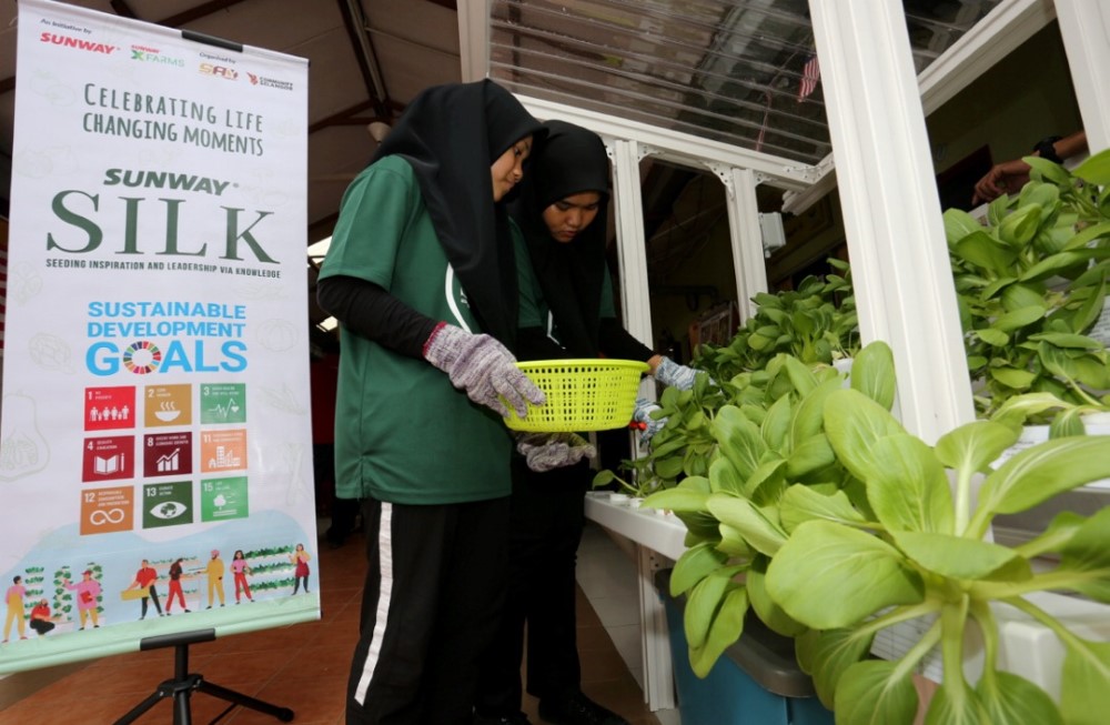 A low-angle landscape shot of young beneficiaries at Pusat Jagaan Kanak-Kanak Rukaiyah Yatim dan Miskin in Kajang, Selangor, harvesting bokchoys from their home’s hydroponic kit.