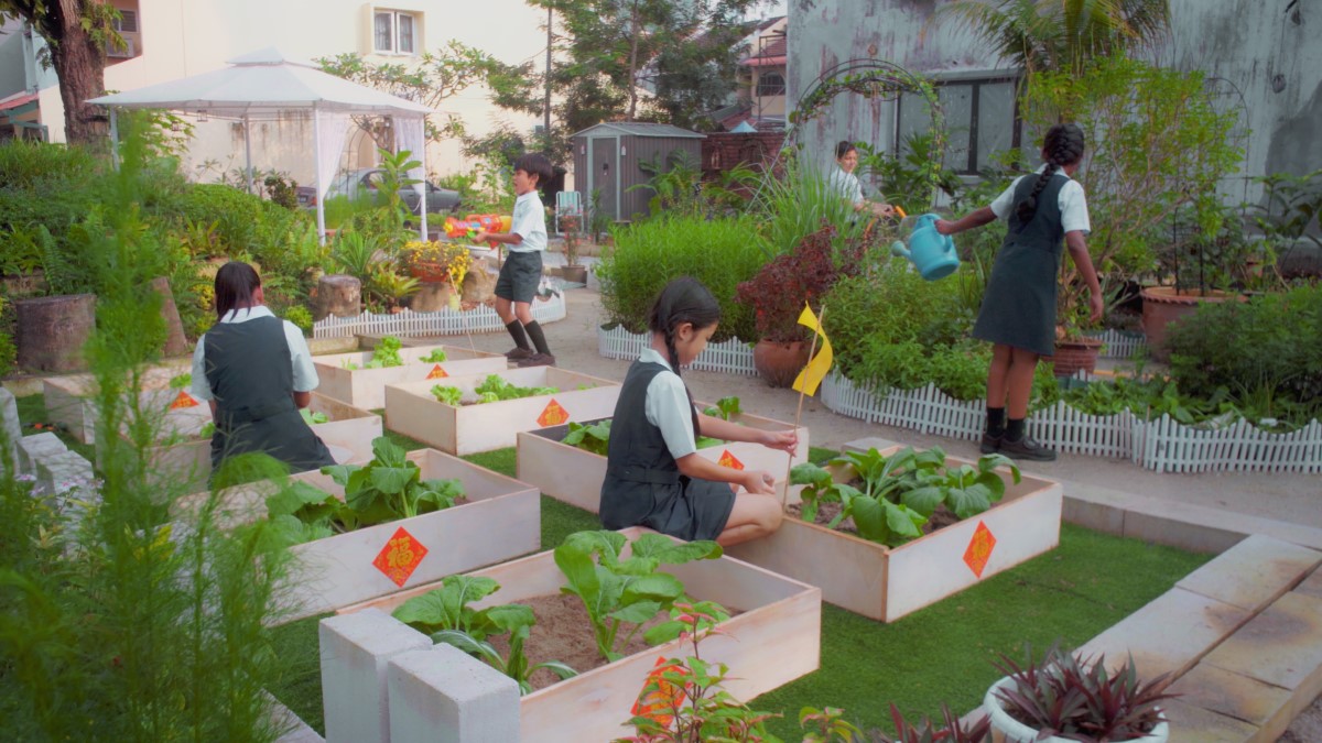 Xiao Wei, Ahmad and friends tending to their crops harmoniously and in unity, with each of them planting fruits and vegetables, as well as watering the plants with cans and water guns.