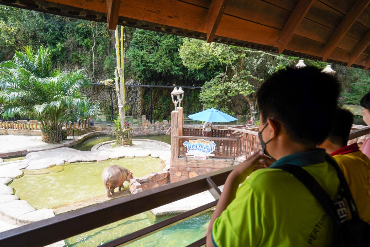 The children in awe of a hippo at the Lost World Of Tambun.