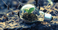 A landscape close-up shot of a sprout growing atop some dirt and gravel within an abandoned lightbulb on a deserted space.