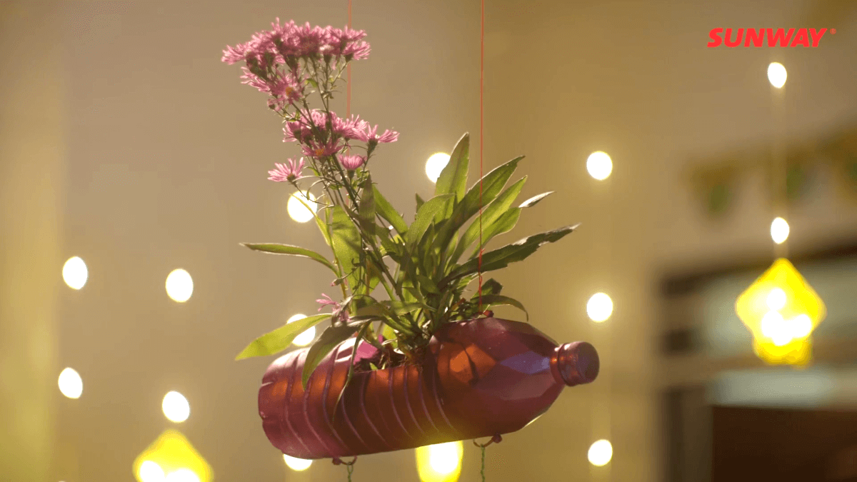 A close-up shot of using plastic bottles as flower plant.