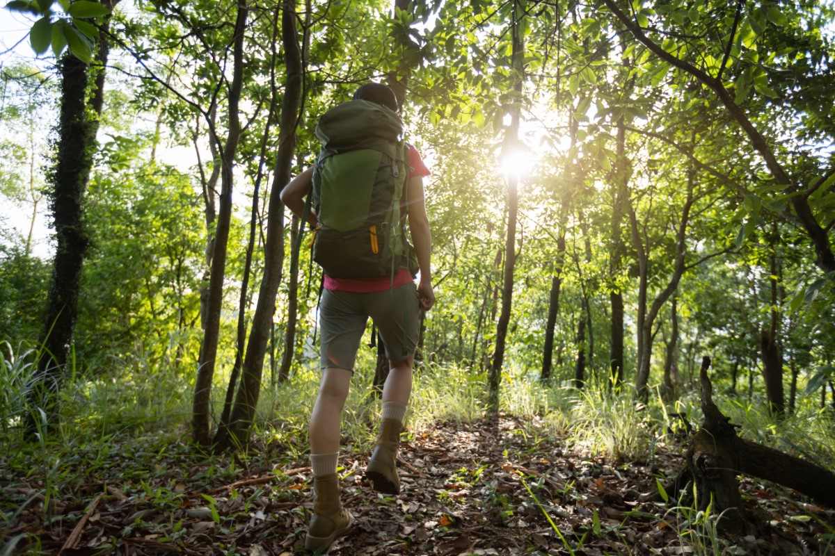 A male hiking in the forest