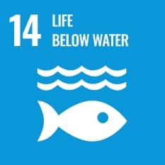 Sustainability