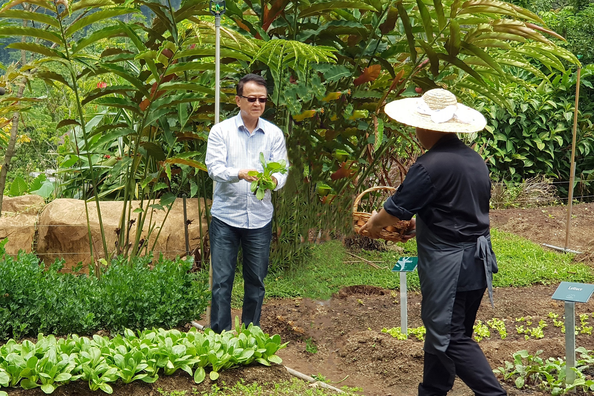 Sunway Promotes Organic Gardening with The Banjaran Hotsprings Retreat