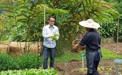 Sunway green initiatives