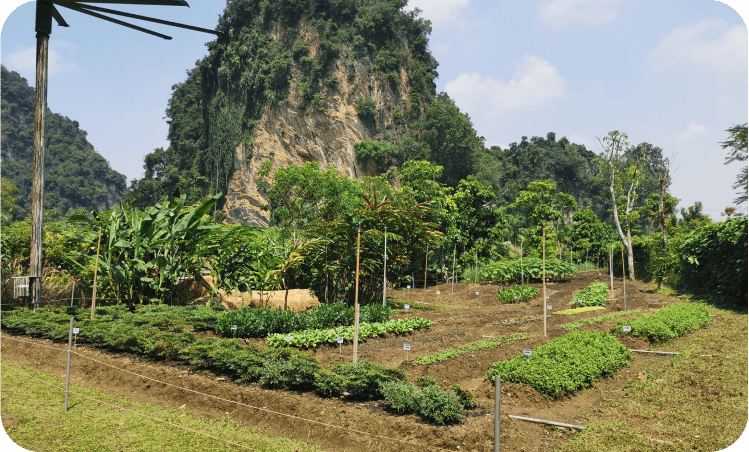 #ZeroFoodWastage - Sunway Food Composting